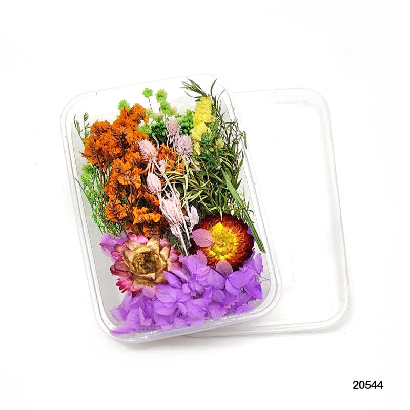 Dried Flower For Resin Dry Flower Box Mg205-44