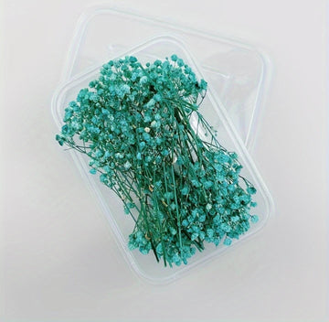 Dry Flower Box (MG20592) Blue White shade