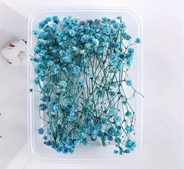 Dry Flower Box (MG20592) Blue White shade