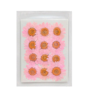 Dry Pink Flower Korean Sheet for Journaling and Resin Art (Candle making)
