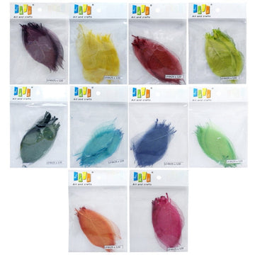 Dried Veins Leaf LF4X25 assorted colours