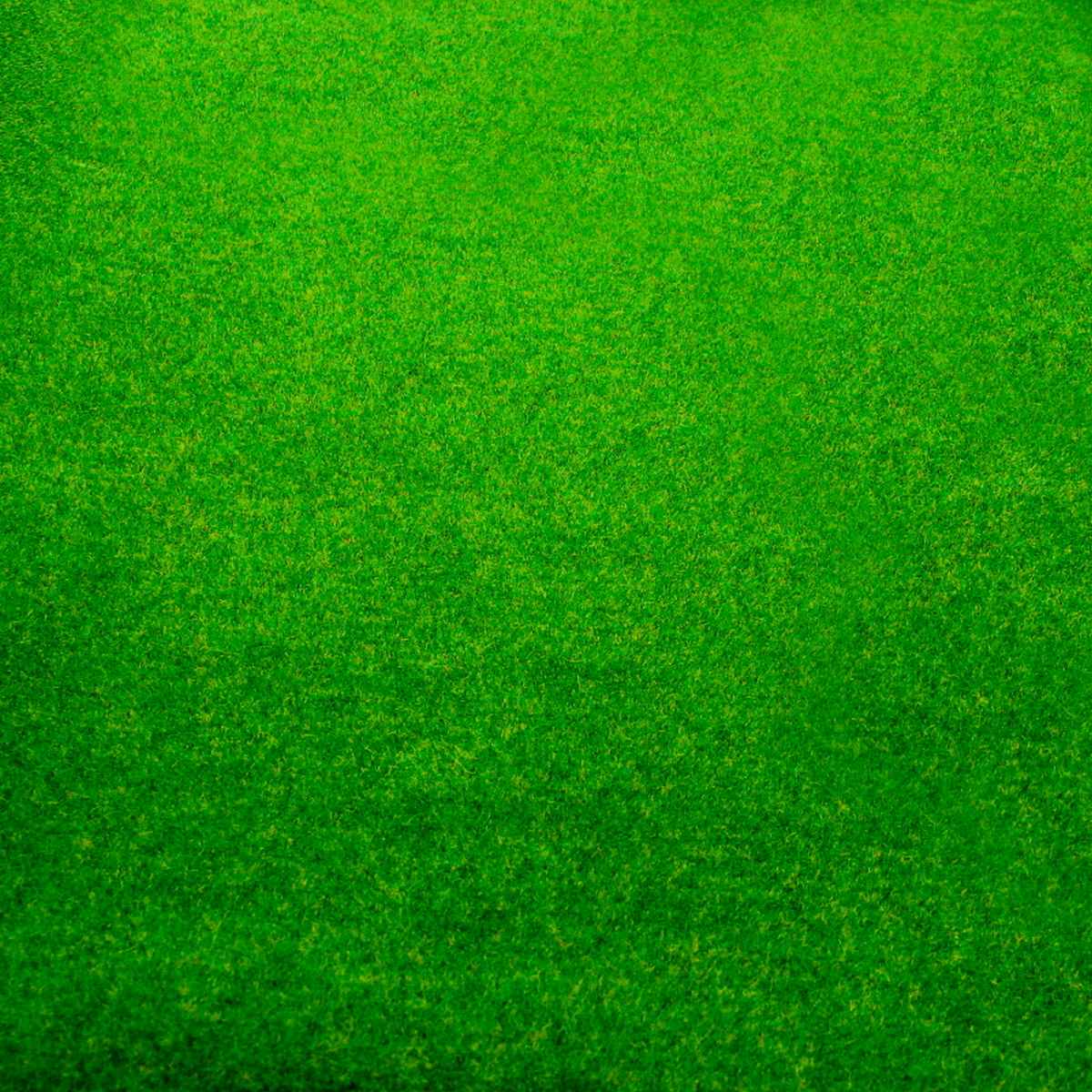 jags-mumbai Artificial Grass Garden Grass Roll 50CM X 250CM Light Green