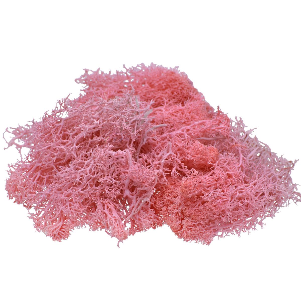 jags-mumbai Artificial Grass Jags Reindeer Moss 20 Grms Light Pink