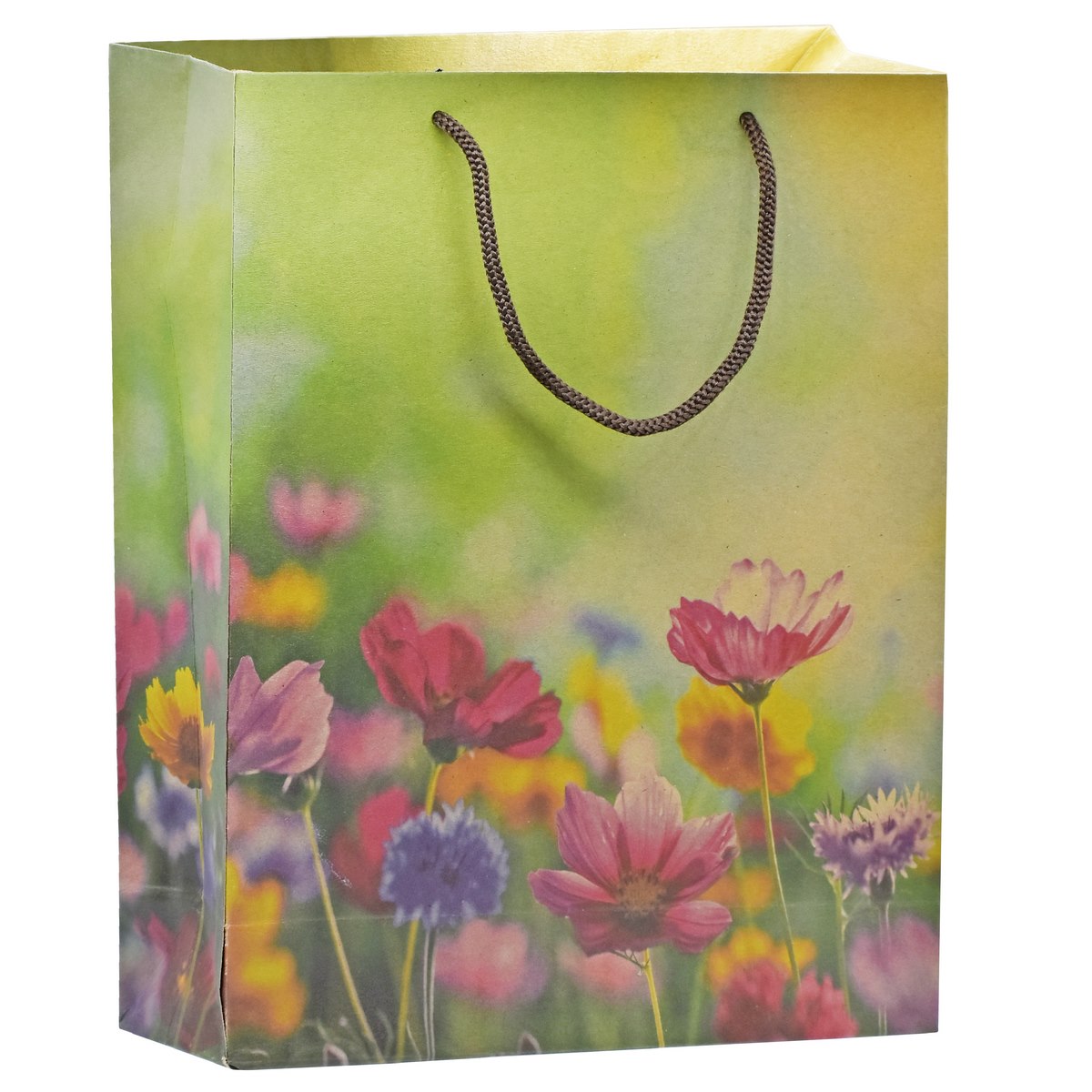 jags-mumbai Paper Bags Eco Friendly Paper Bag Medium 12.2 X 7.2 Flower EFPBM09 Pack of 10 Pcs