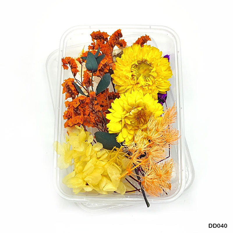 MG Traders 1 Resin Art & Supplies Dd040 Dry Flower Box