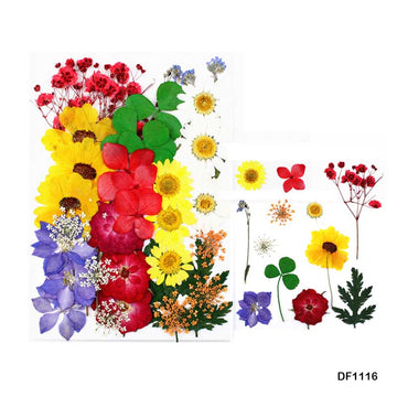 Df11-16 Dry Flower Sheet