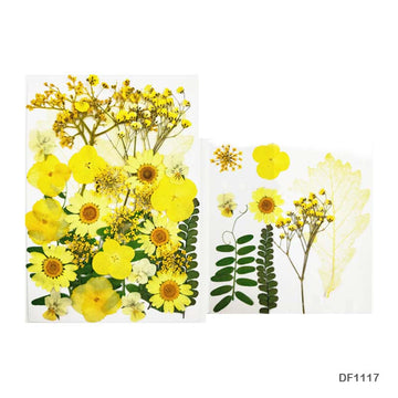 Df11-17 Dry Flower Sheet