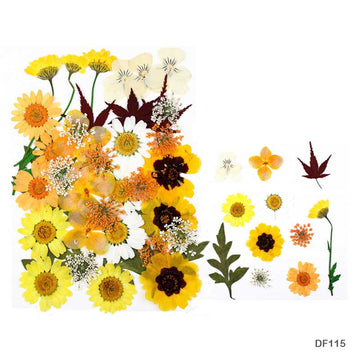 Df11-5 Dry Flower Sheet