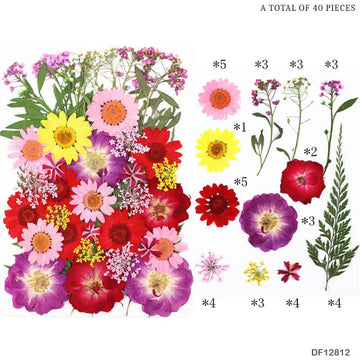 Df128-12 Dry Flower Sheet