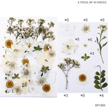 Df128-3 Dry Flower Sheet