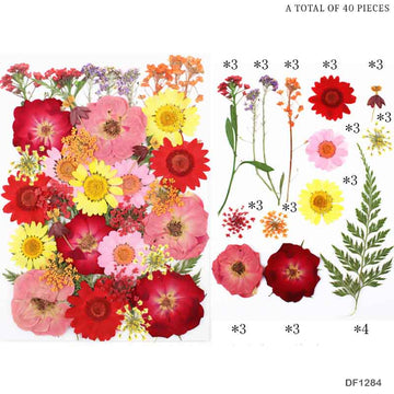 Df128-4 Dry Flower Sheet