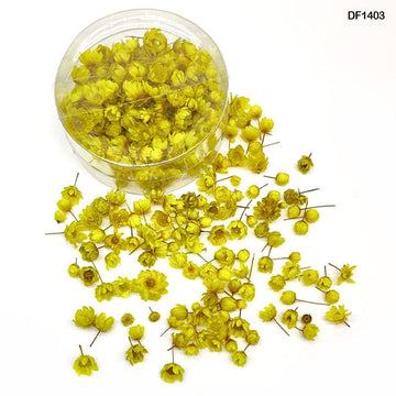 MG Traders Artificial Flower Df1403 Dry Flower 140Pcs Round Box Yellow