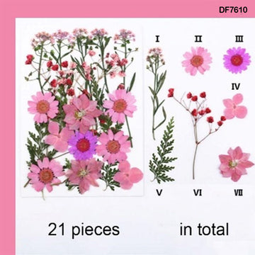 Df76-10 Dry Flower Sheet