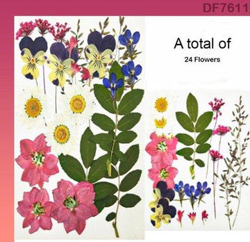 Df76-11 Dry Flower Sheet