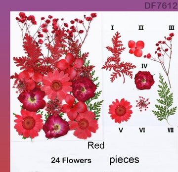 Df76-12 Dry Flower Sheet