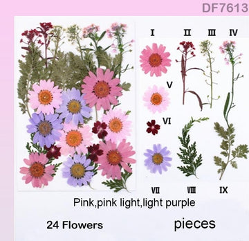 Df76-13 Dry Flower Sheet