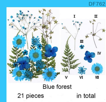 Df76-2 Dry Flower Sheet