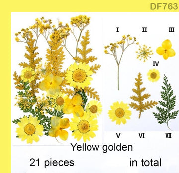 Df76-3 Dry Flower Sheet
