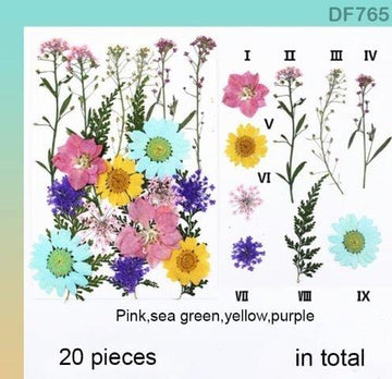 Df76-5 Dry Flower Sheet