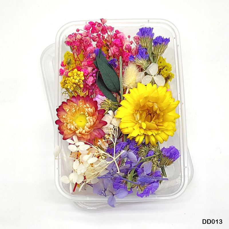 MG Traders Dried Flower Dd013 Dry Flower Box
