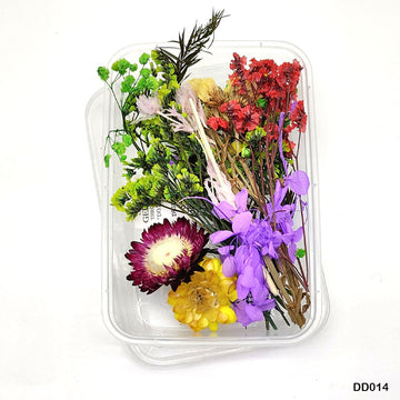 Dd014 Dry Flower Box
