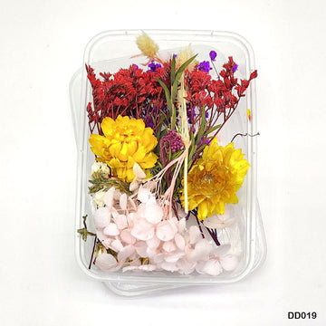 Dd019 Dry Flower Box