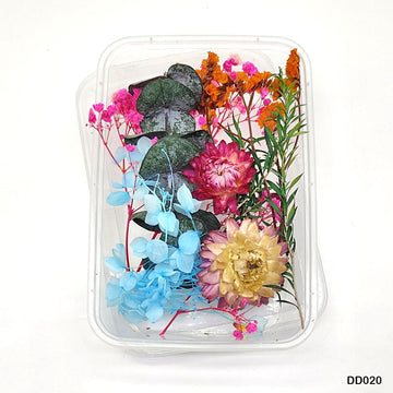 Dd020 Dry Flower Box