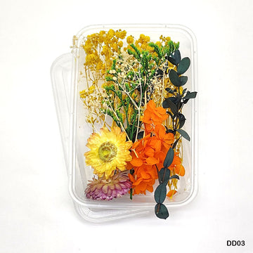 Dd03 Dry Flower Box