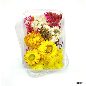Dd041 Dry Flower Box