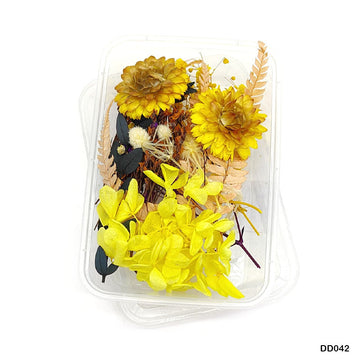 Dd042 Dry Flower Box