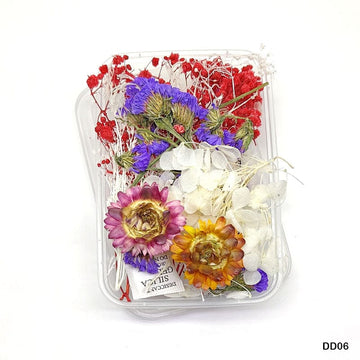 Dd06 Dry Flower Box