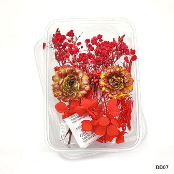 Dd07 Dry Flower Box