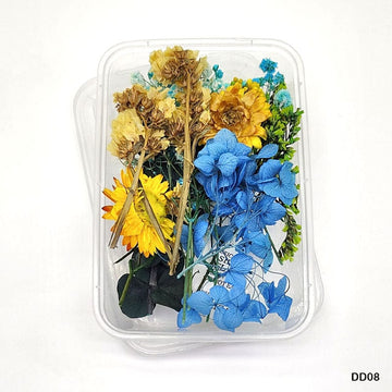 Dd08 Dry Flower Box
