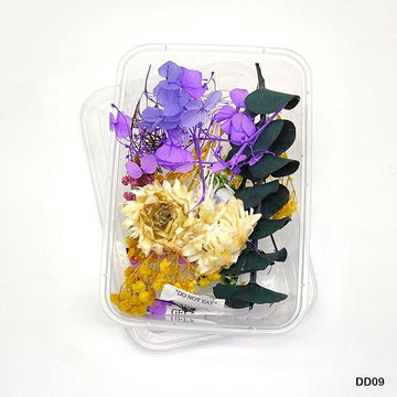 Dd09 Dry Flower Box