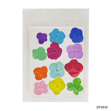 Df38-18 Dry 12 Flower Sheet Multi Color  (Pack of 2)
