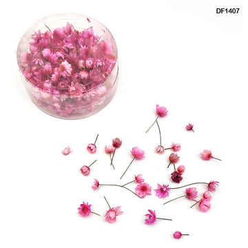 MG Traders Resin Products Df1407 Dry Flower 140Pcs Round Box L Pink