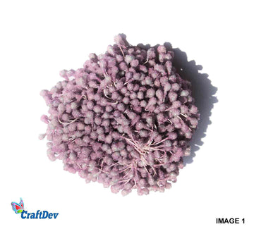 Thread Pollan Mini Cherry Glitter (Tpmcg)