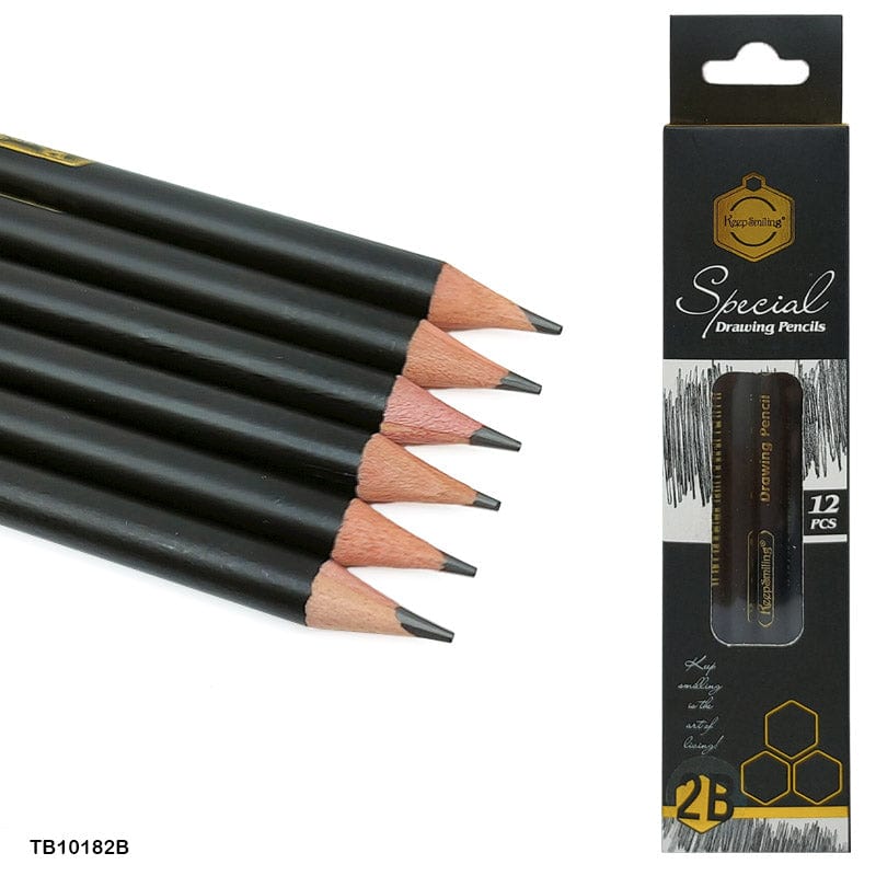MG Traders Sketching Pencil 12Pc 2B Special Drawing Pencil (Tb10182B)