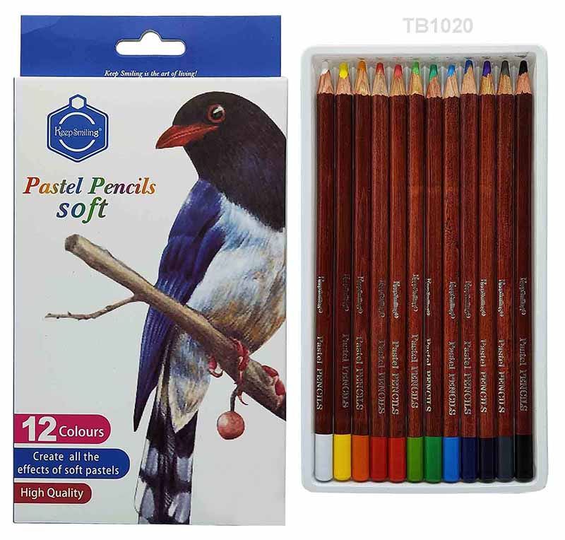 MG Traders Sketching Pencil 12Pc Pastel Pencils Soft (Tb1020)