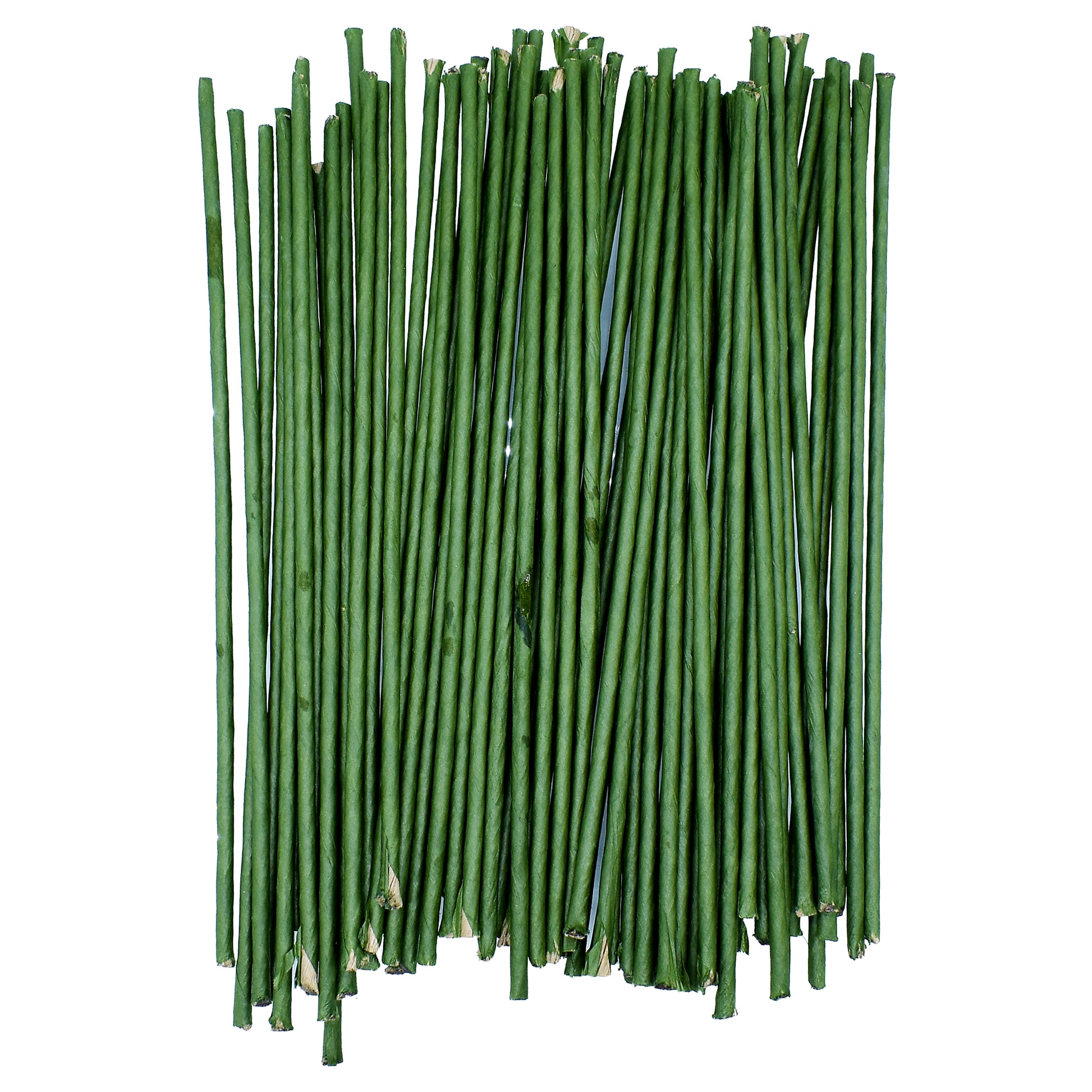 Craft Wire Green 4mm x 25cm