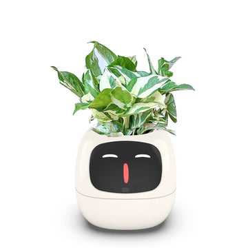 AI Smart Flowerpots for Indoor Plants - Intelligent Pet Planter with Multiple Expressions, 7 Smart Sensors, and AI Chips - Easy and Fun Plant Care for Living Room and Bedroom - Plant-Free, White