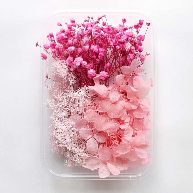 Dry Flower Box l Pack of 1