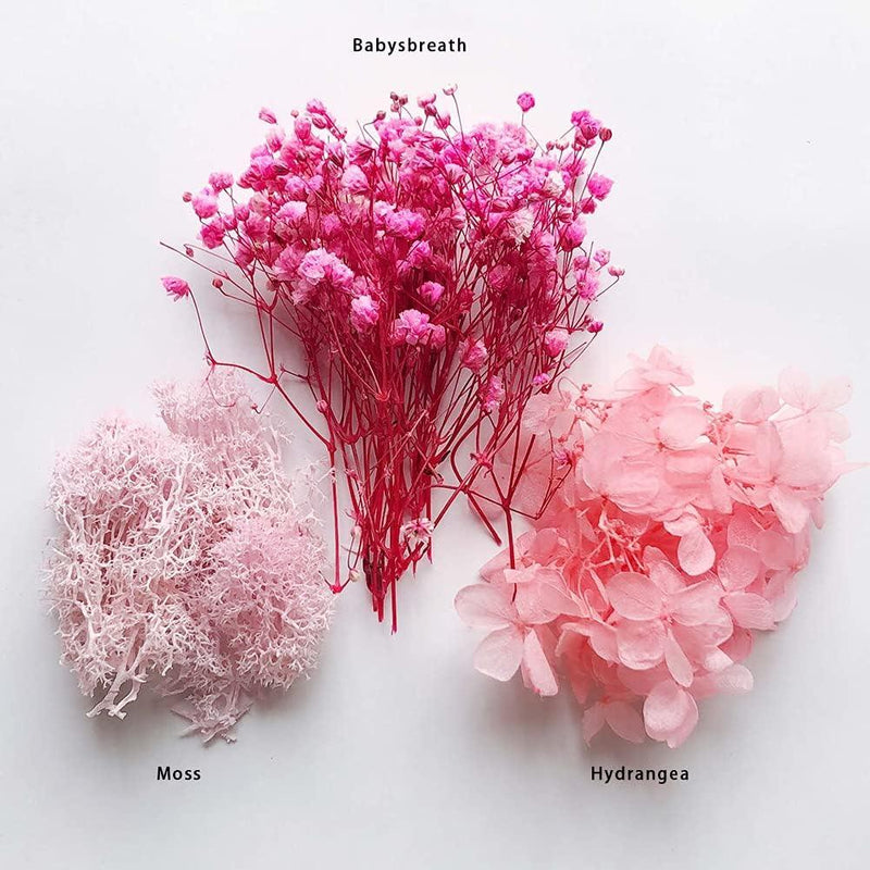 Dry Flower Box l Pack of 1