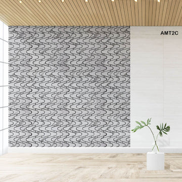 AMT2C