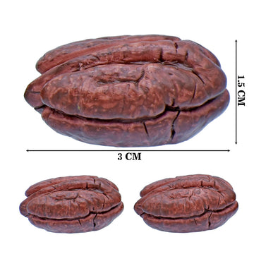 Miniature Pecan Pulp Nuts 3 Pcs Set | C1515-12