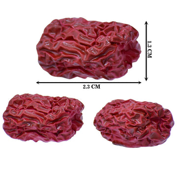 Miniature Red Dates Nuts 3 Pcs Set | C1515-28