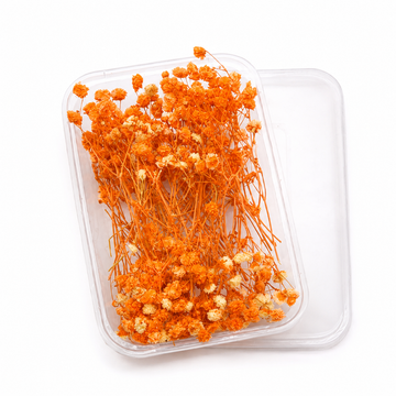 Premium Orange Dried Flower for Resin Dry Flower Box l Pack of 1 box