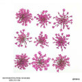 Dried Flower for Resin Dry 12 Flower Sheet Df35-12