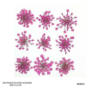 Dried Flower for Resin Dry 12 Flower Sheet Df35-12