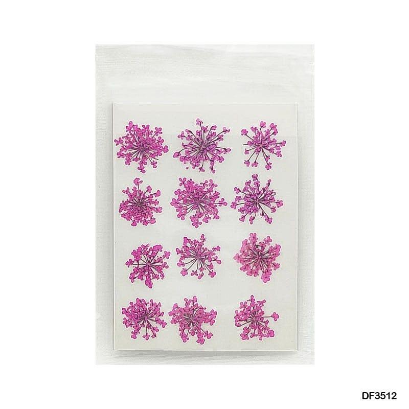 Dried Flower for Resin Dry 12 Flower Sheet Df35-12